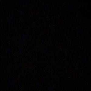 Meet your Posher, Lacey